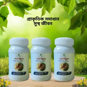 3 মাসের প্যাকেজ (সীমিত সময়ের অফার)