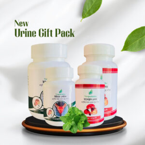 ২মাসের প্যাকেজ ( সীমিত সময়ের অফার )